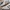 Adidas Casual Sneakers Pria white black photo 2