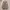 Adidas Casual Sneakers Pria white black photo 5