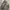 Realtree Vintage Streetwear Suit Pria Multicolor