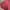 Casual Muslim Wanita red photo 2