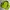 Adidas Vintage Sportswear Windbreaker Pria green photo 1