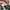 Adidas Casual Sneakers Wanita green cream photo 5