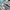 New Balance Casual Sneakers Pria gray photo 2