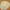 Japanese brand Vintage Casual Harrington jacket Pria cream photo 2