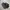 Nike Vintage Skater Sneakers Pria Black