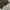 Streetwear Casual Casual pants Pria green photo 4