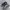 Salomon Streetwear Sportswear Sneakers Pria multicolor photo 1