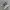 Asics Streetwear Sportswear Sneakers Pria multicolor photo 1
