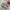 Asics Gorpcore Casual Sneakers Pria white gray photo 1