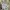 Y2K Luxury Handbag Wanita white photo 1