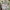Y2K Luxury Handbag Wanita White