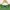 Stussy Vintage Streetwear Sweatshirt Pria green photo 2