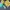 Lolita Cosplay Kids green cream photo 2