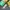 Lolita Cosplay Kids green cream photo 1