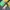 Lolita Cosplay Kids Green Cream