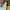 Lolita Cosplay Kids green cream photo 4