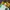 Lolita Cosplay Kids green cream photo 3