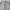 Polham Streetwear Casual Casual pants Pria gray photo 3