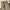 Levi's Vintage Y2K Casual pants Pria tan photo 3