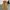 Belle The Label Vintage Y2K Casual pants Pria gold photo 1