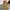 Belle The Label Vintage Y2K Casual pants Pria gold photo 4