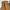 Belle The Label Vintage Y2K Casual pants Pria gold photo 2