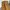 Belle The Label Vintage Y2K Casual Pants Pria Gold