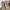 Levi's Vintage Y2K Casual pants Pria khaki photo 4