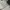Levi's Vintage Y2K Casual pants Pria cream photo 5