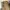 Levi's Vintage Y2K Casual pants Pria tan photo 1