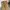 Levi's Vintage Y2K Casual pants Pria tan photo 3