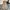 Levi's Vintage Y2K Casual pants Pria tan photo 6