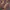 Fashion Nova Streetwear Y2K Hoody Pria multicolor photo 4