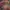Fashion Nova Streetwear Y2K Hoody Pria multicolor photo 2