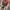 Giordano Streetwear Casual Casual shirt Pria multicolor photo 2