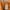 Timberland Sportswear Short Pria orange photo 3