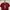 COLORBOX Minimalist Crop Top Wanita Burgundy Blue