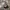 Kangol Streetwear Y2K Hat Pria brown photo 3
