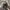 Japanese brand Y2K Grunge Hat Pria green brown photo 1