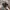 Japanese brand Y2K Grunge Hat Pria green brown photo 3