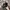 Japanese brand Y2K Grunge Hat Pria green brown photo 2