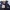 Dickies Casual Windbreaker Pria navy gray photo 8
