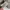Guess Vintage Casual Sweater Wanita gray photo 5