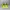 HOKA Sportswear Sneakers Pria multicolor photo 5