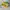 HOKA Sportswear Sneakers Pria multicolor photo 1