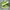 HOKA Sportswear Sneakers Pria Multicolor