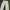 Y2K Casual pants Pria cream photo 1