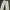 Y2K Casual Pants Pria Cream
