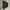 Triple 5 Soul Vintage Luxury Hoody Pria tan photo 4