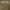Triple 5 Soul Vintage Luxury Hoody Pria tan photo 6